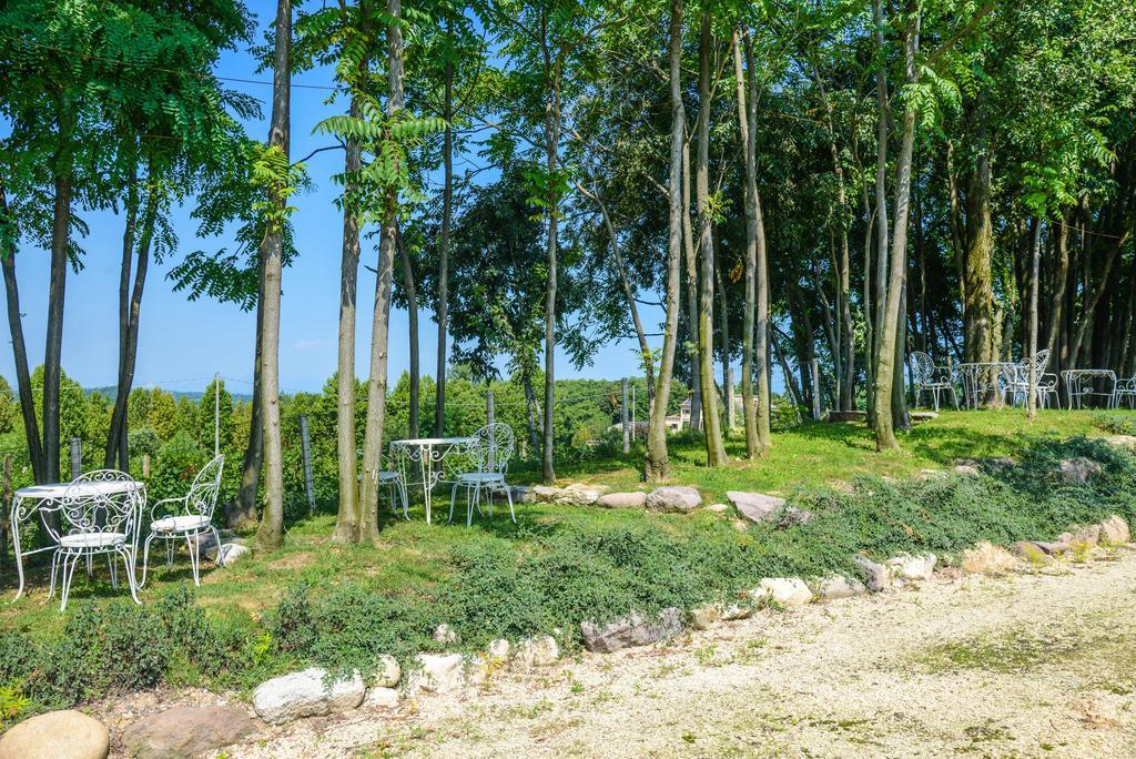 Agriturismo B&B Corte Tonolli Valeggio sul Mincio Ngoại thất bức ảnh