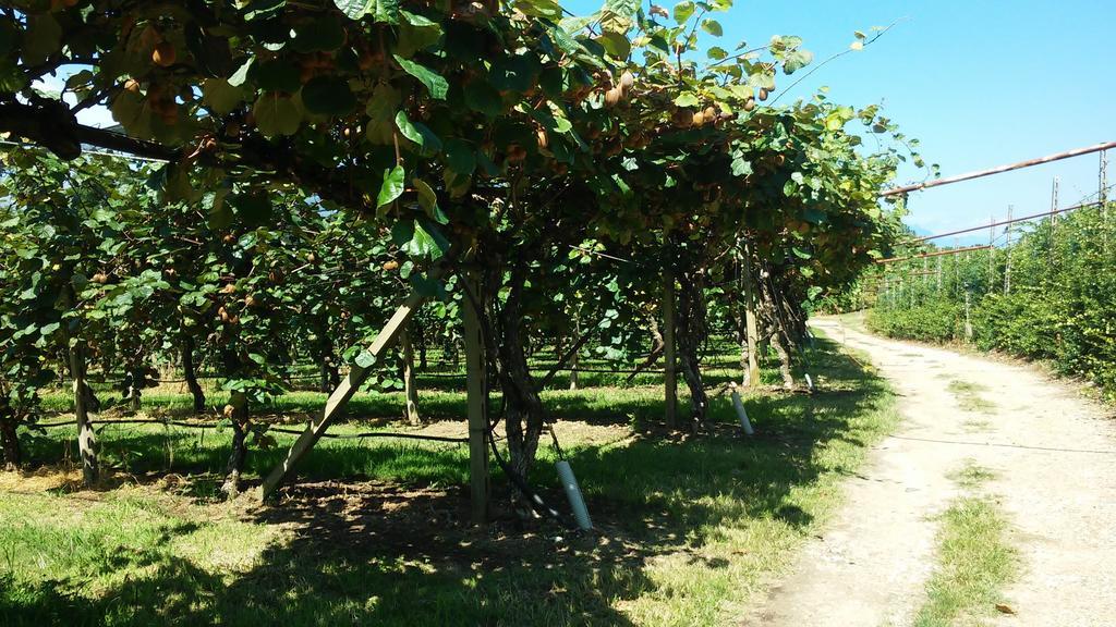 Agriturismo B&B Corte Tonolli Valeggio sul Mincio Ngoại thất bức ảnh