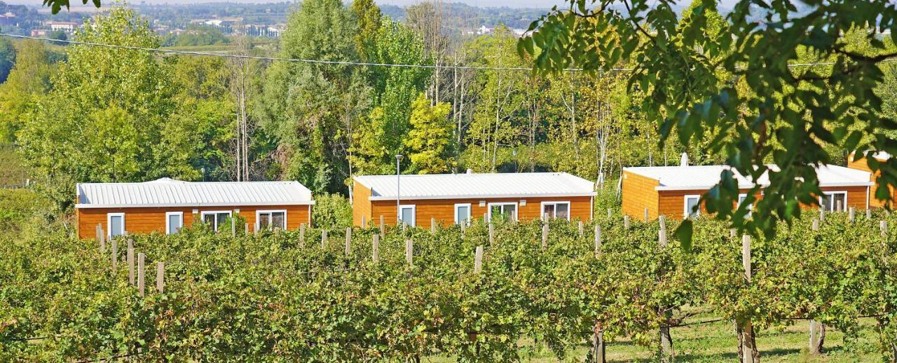 Agriturismo B&B Corte Tonolli Valeggio sul Mincio Ngoại thất bức ảnh